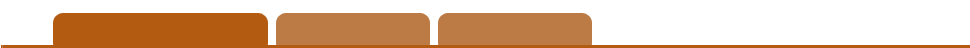 site header